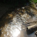 landscape stream