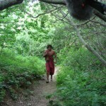 Narcissus hunting in woods