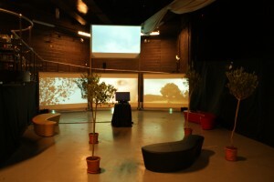 Wide shot of installation showing olive tree.  House lights on